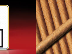 Villiger Mini Classic - Ảnh 5