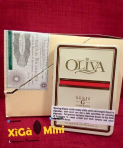 Alternative view of Oliva Series G Cameroon