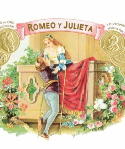 Romeo y Julieta Romeos - Ảnh 4