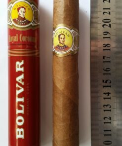 Bolivar Royal Coronas - Xì gà Cuba (Điếu lẻ) - Ảnh 6
