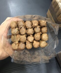 Leaf by Oscar Maduro Toro 52 (Điếu lẻ) - Ảnh 3