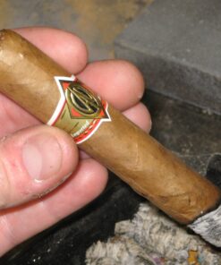 CAO Gold Robusto (điếu lẻ) - Ảnh 3