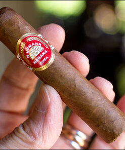 H. Upmann Half Corona (điếu lẻ)