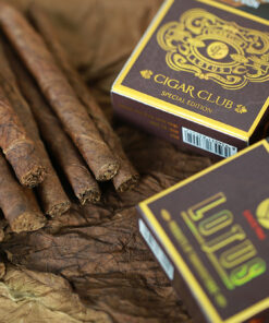 Cigar LOTUS Club (hộp giấy 10 điếu)