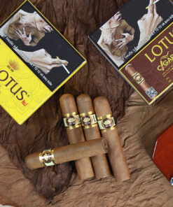 Cigar LOTUS No 1 (hộp giấy 5 điếu)