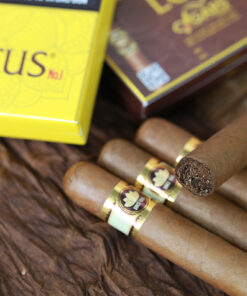 Cigar LOTUS No 1 (hộp giấy 5 điếu) - Ảnh 4