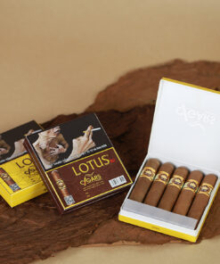 Cigar LOTUS No 1 (hộp giấy 5 điếu) - Ảnh 3