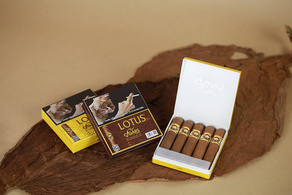 Cigar LOTUS No 1 (hộp giấy 5 điếu) - Ảnh 3