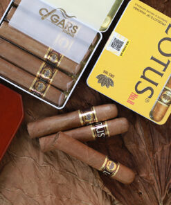 Cigar LOTUS No 2 (hộp sắt 5 điếu)