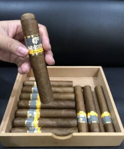 Cohiba Robusto (điếu lẻ)