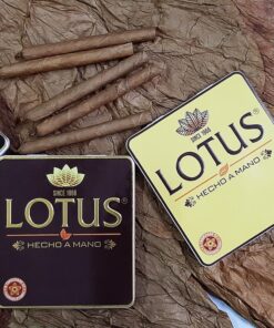 Alternative view of Cigar LOTUS Mini (hộp thiếc 10 điếu)