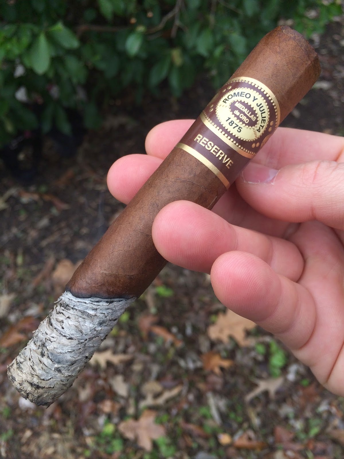 Romeo Y Julieta RESERVE Toro (Điếu lẻ) - Ảnh 5