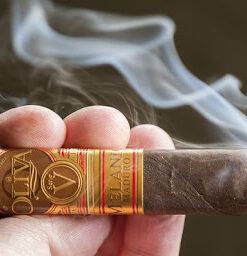 Alternative view of Oliva Serie V Melanio Torpedo (điếu lẻ)