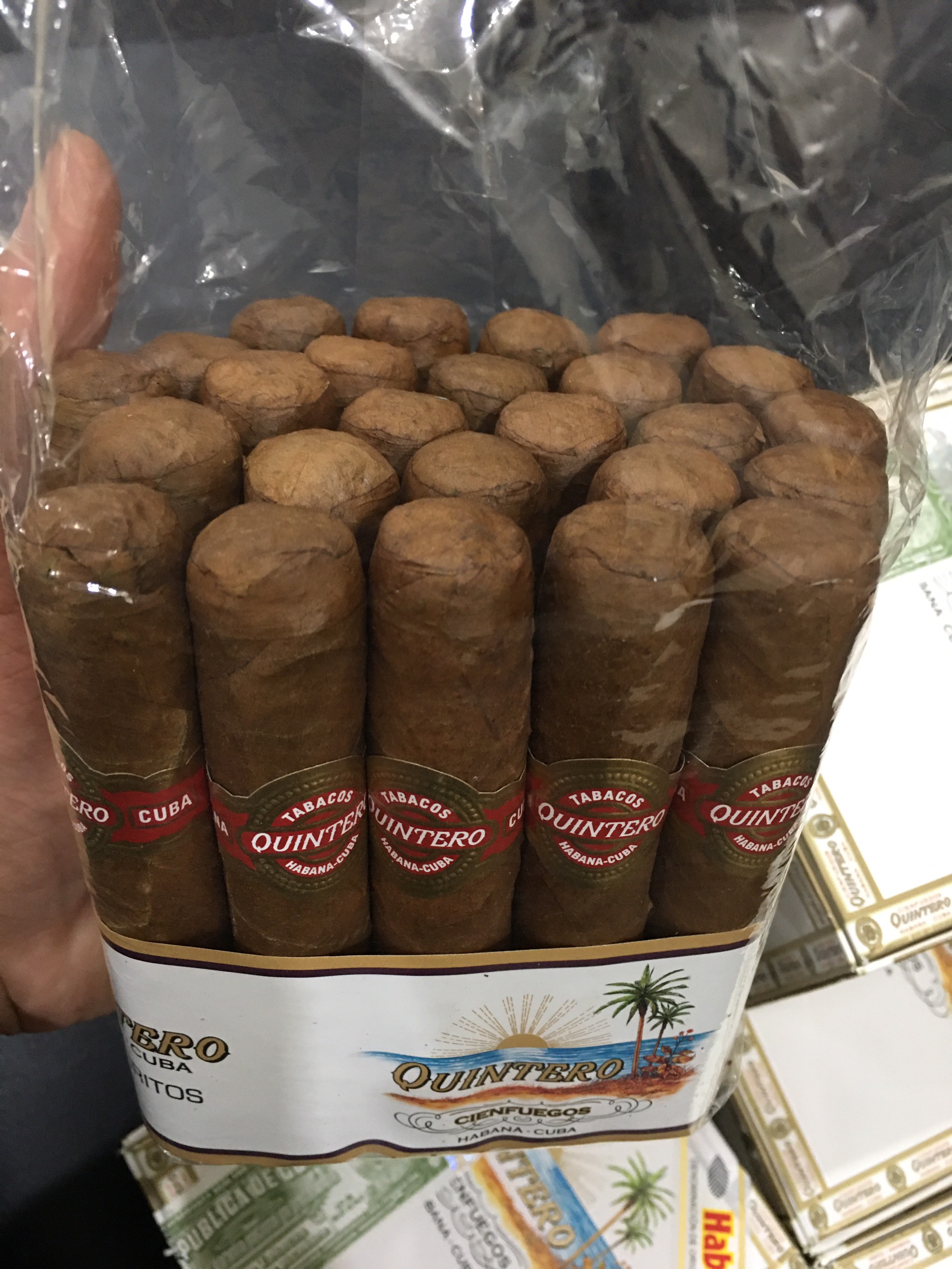 Quintero Favoritos (điếu lẻ) - Ảnh 4
