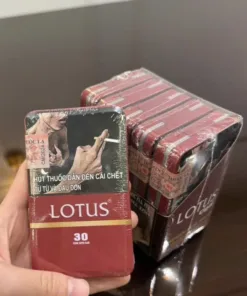 Cigar LOTUS slim (bao 30 điếu)
