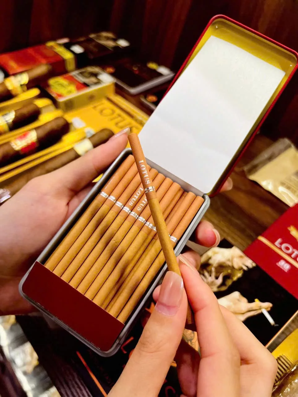 Cigar LOTUS slim (bao 30 điếu) - Ảnh 4