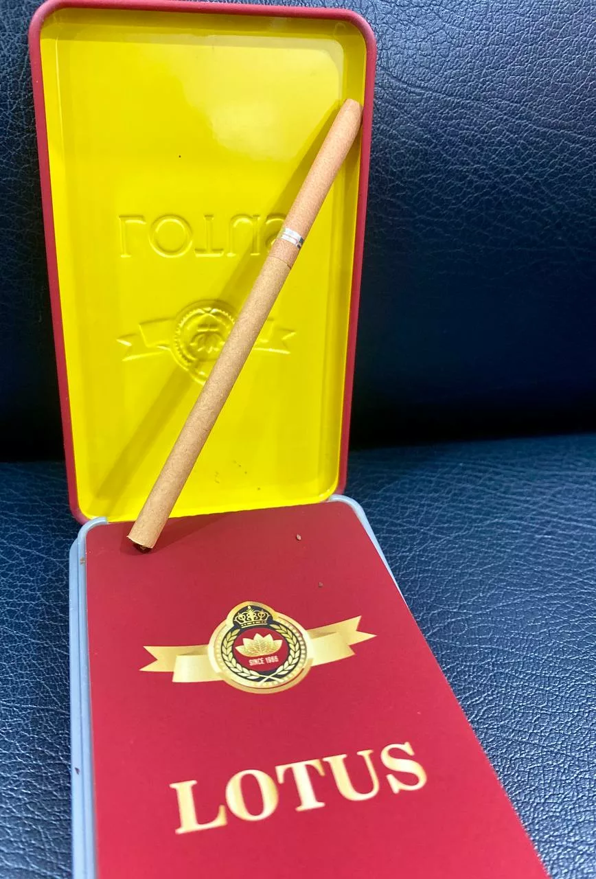 Cigar LOTUS slim (bao 30 điếu) - Ảnh 3