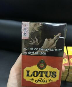 Cigar LOTUS Short (hộp 10 điếu) - Ảnh 3