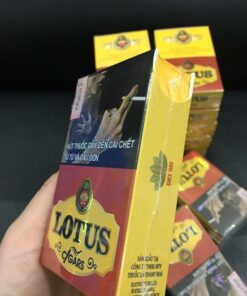 Cigar LOTUS Short (hộp 10 điếu) - Ảnh 4
