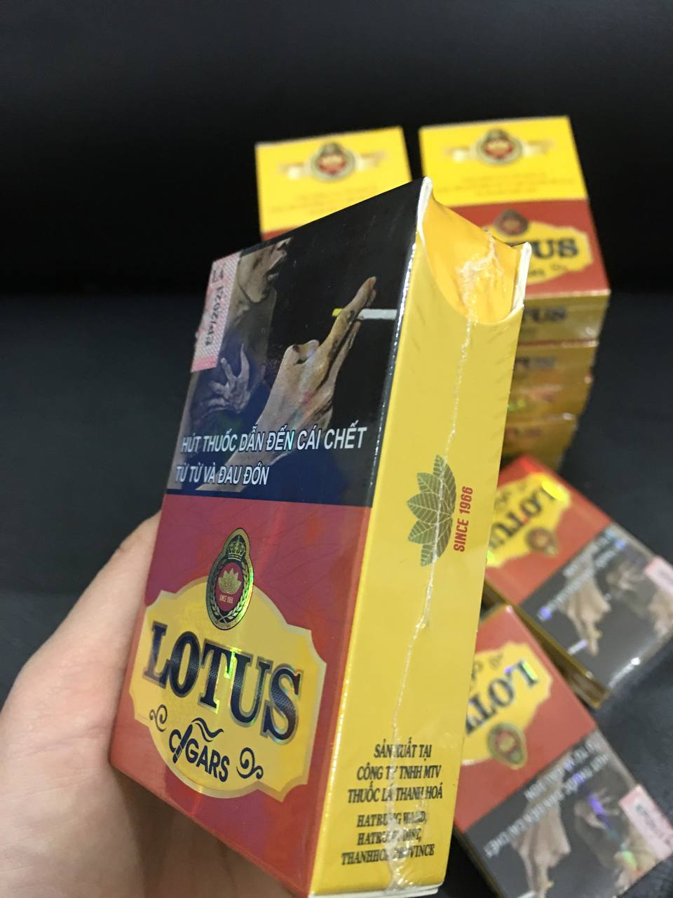 Cigar LOTUS Short (hộp 10 điếu) - Ảnh 4