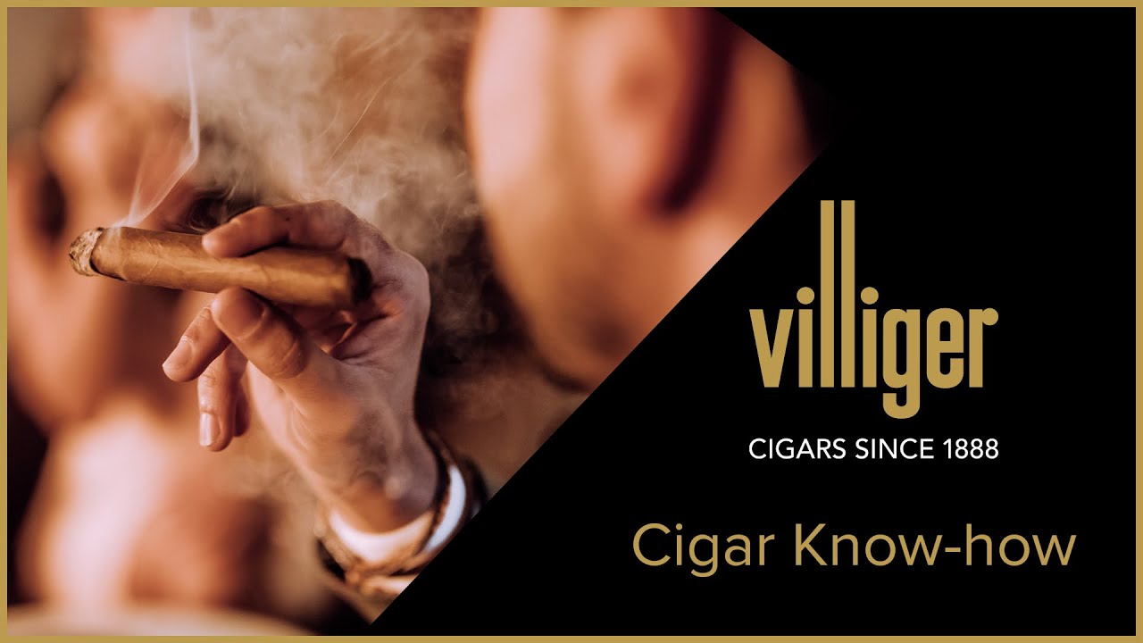 Xì gà Dominico Churchill (điếu lẻ) - Ảnh 2