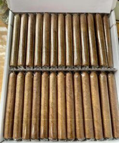 Candlelight Corona (pack 10 điếu) - Ảnh 3