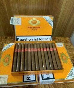Patargas Chicos hộp 25 điếu hàng Cuba xuất Đức
