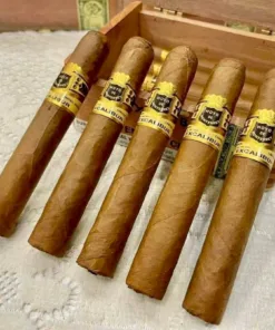 Hoyo de Monterrey - Excalibur Epicure (hộp 10 điếu) - Ảnh 3