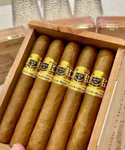 Hoyo de Monterrey - Excalibur Epicure (hộp 10 điếu) - Ảnh 4