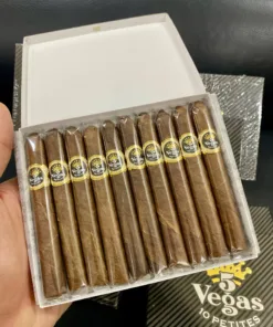 Xì gà Vegas (Hộp 10 điếu) - Ảnh 4